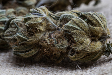 Getrocknetes Cannabis Kraut 