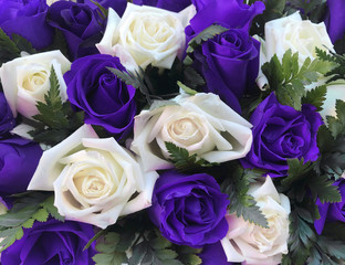 violet purple and white roses bouquet background.