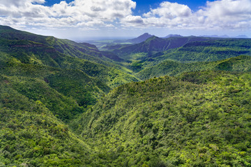 Obraz premium Black River Gorges National Park on Mauritius island. The park contains most of the islands remaining rainforest.