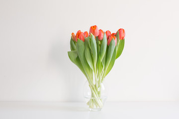 Different life stages of a studio bouquet of red / orange tulips in twenty separate images, from...