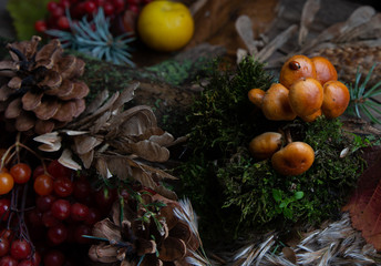 still life of pine cones, mushrooms, viburnum, wild apples and flowers on a wooden background