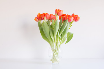 Different life stages of a studio bouquet of red / orange tulips in twenty separate images, from buds to death.