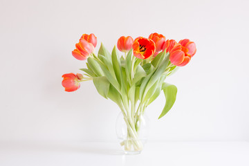 Different life stages of a studio bouquet of red / orange tulips in twenty separate images, from buds to death.