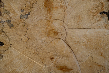 abstract wooden background