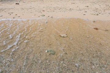 The beach and the sea.