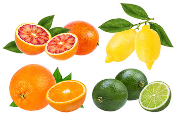 .Citrus Fruit Set orange, lime, lemon isolated on white background.