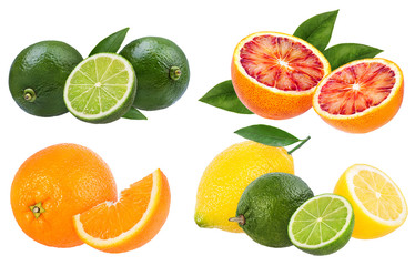 Fototapeta na wymiar .Citrus Fruit Set orange, lime, lemon isolated on white background.