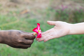 Close up hand dirty of man give a red  to woman, Retro style valentine day greeting card design, together on blurred background for love concept