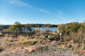 View of a Group of Cactus next to Inks Lake Waters with Clear Skies