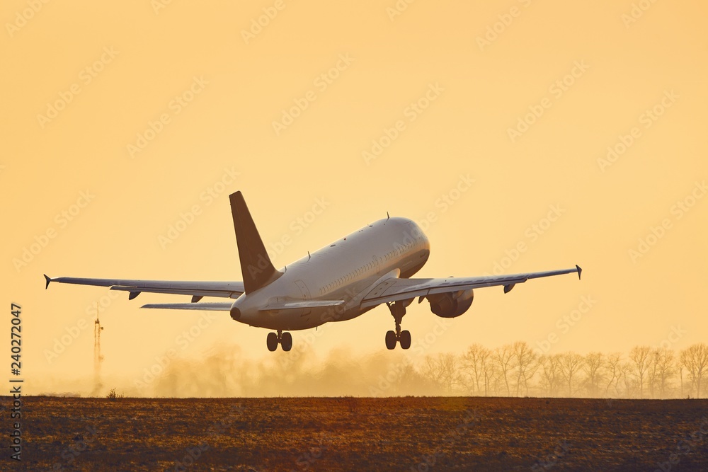 Wall mural airplane taking off at sunset