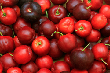 macro, closeup of fresh organic Acerola group. juicy and selected fruits