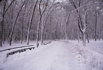 road in winter park