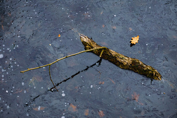 Reflection of a curved stick in the blue ice surface