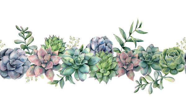 Watercolor succulents seamless bouquet. Hand painted green, violet, pink cacti, eucalyptus leaves and branches isolated on white background.  Botanical illustration for design, print. Green plants