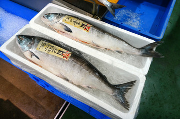 北海道の味覚・鮭