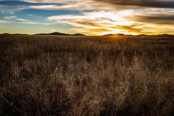 Sonoita Sunset