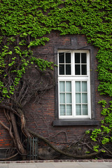 Fototapeta na wymiar window of the old house