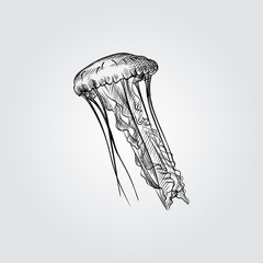 Hand Drawn Jellyfish Sketch Symbol isolated on white background. Vector of Underwater world elements In Trendy Style. Engraving style pen pencil crosshatch.