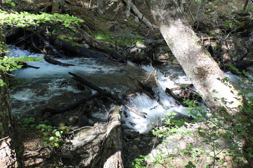 Waterfall  natural  forest