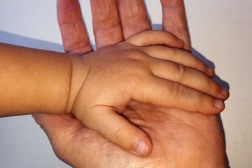 Fototapeta premium child's hand in an adult's hand, concept