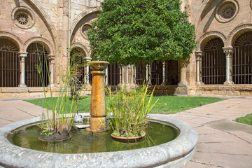 Cloister of Tarragona cathedral, Catalonia, Spain