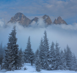 winter snowbound forest in a mountain valley