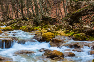Fototapeta premium mountain river rushing through a canyon