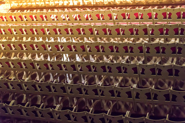 Fototapeta premium Empty rows of seats in the auditorium