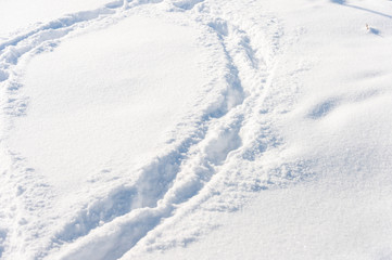 Fototapeta na wymiar background of fresh snow texture