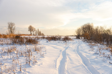 Fototapeta na wymiar Winter landscape with frozen bare trees on a peeled agricultural field covered with frozen dry yellow grass under a blue sky during sunset
