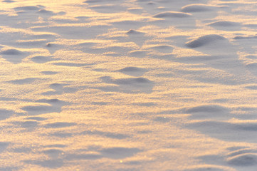 winter background with snow texture on the sunset closeup