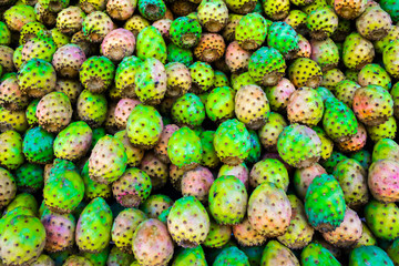 Prickly pears of opuntia cactus on Moroccian Fruits Market