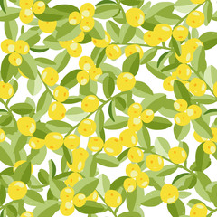Seamless vector background, green branches with leaves and ripe tangerines. Vegetable fruit texture.