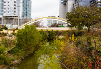 Overgrown Suspension Bridge near River