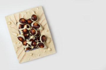 Chocolate candies, traditional Belgian shell shape.