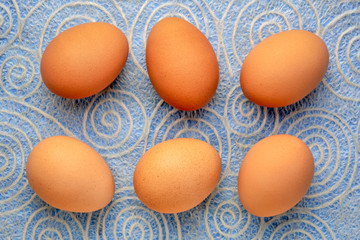 brown chicken eggs