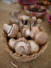Mushrooms in a bowl