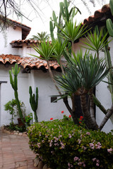 Cactus garden in the courtyard of California Mission San Diego de Alcala