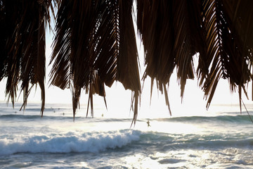 Windansea rustic beach hut in La Jolla, California