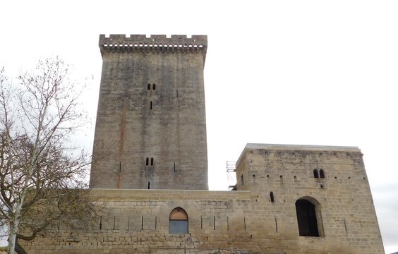 torre palacio condes de orgaz,fontecha,lantaron,alava,espa&ntilde;a
