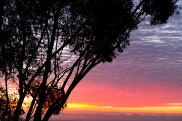 Fototapeta na wymiar Brilliant Red sunset off Mt Helix overlooking San Diego