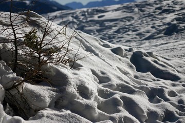 Schneedetail_01