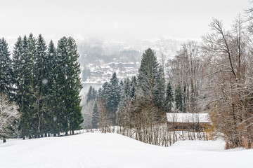 The mountain trail at the lake Tegernsee (German: Tegernseer Höhenweg) in the Bavarian Alps, Germany. The area around the Tegernsee lake serves as a recreational area with activities including hiking.