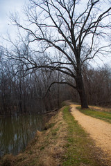 Obraz premium C&O towpath at Riley's Lock