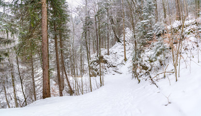 The mountain trail at the lake Tegernsee (German: Tegernseer Höhenweg) in the Bavarian Alps, Germany. The area around the Tegernsee lake serves as a recreational area with activities including hiking.