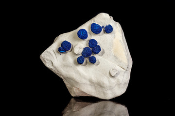 Macro mineral stone Azurite in siltstone against black background