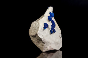 Macro mineral stone Azurite in siltstone against black background