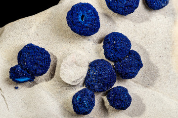 Macro mineral stone Azurite in siltstone against black background