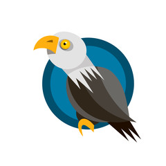 Range of icon design with the American eagle, rendered in flat design