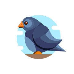 Pigeon vector character color flat illustration pigeon